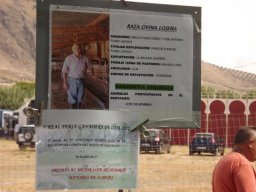 phoca_thumb_l_ganadero ganador al mejor lote de hembras mayores de 24 meses